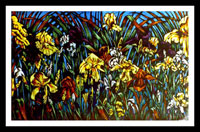 Irises 1